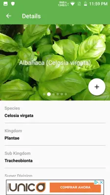 PlantSnap android App screenshot 0