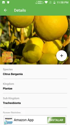 PlantSnap android App screenshot 5